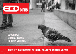 Download Brochure - Ecobirds® - Installatori Autorizzati Allontanamento Volatili