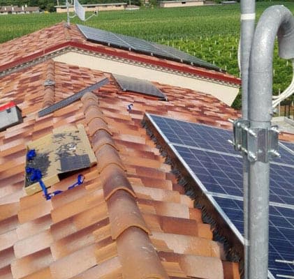 Ecobirds®-Installatori Autorizzati Allontanamento Volatili
