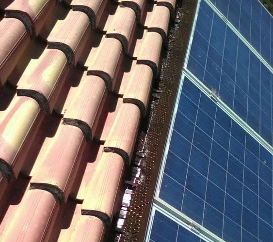 Ecobirds®-Installatori Autorizzati Allontanamento Volatili