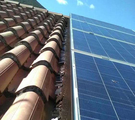 Ecobirds®-Installatori Autorizzati Allontanamento Volatili