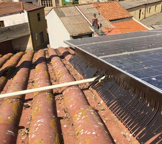 Ecobirds®-Installatori Autorizzati Allontanamento Volatili