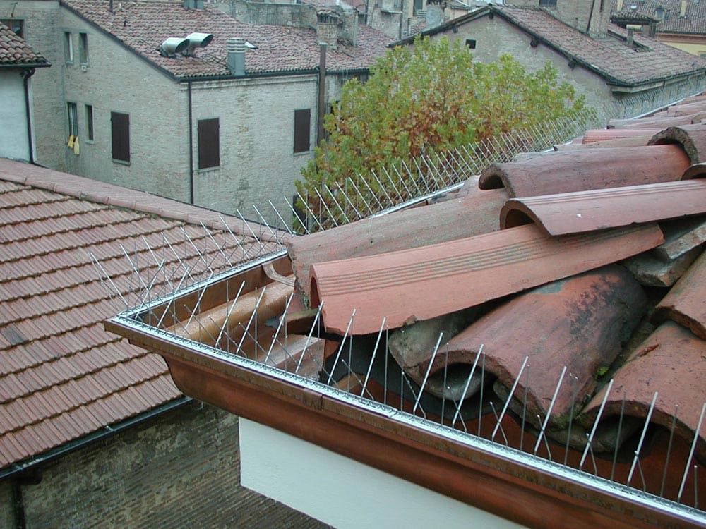 Dissuasori meccanici - Ecobirds® - Installatori Autorizzati Allontanamento Volatili