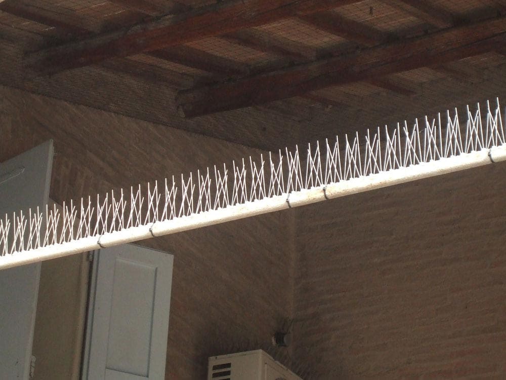 Dissuasori meccanici - Ecobirds® - Installatori Autorizzati Allontanamento Volatili