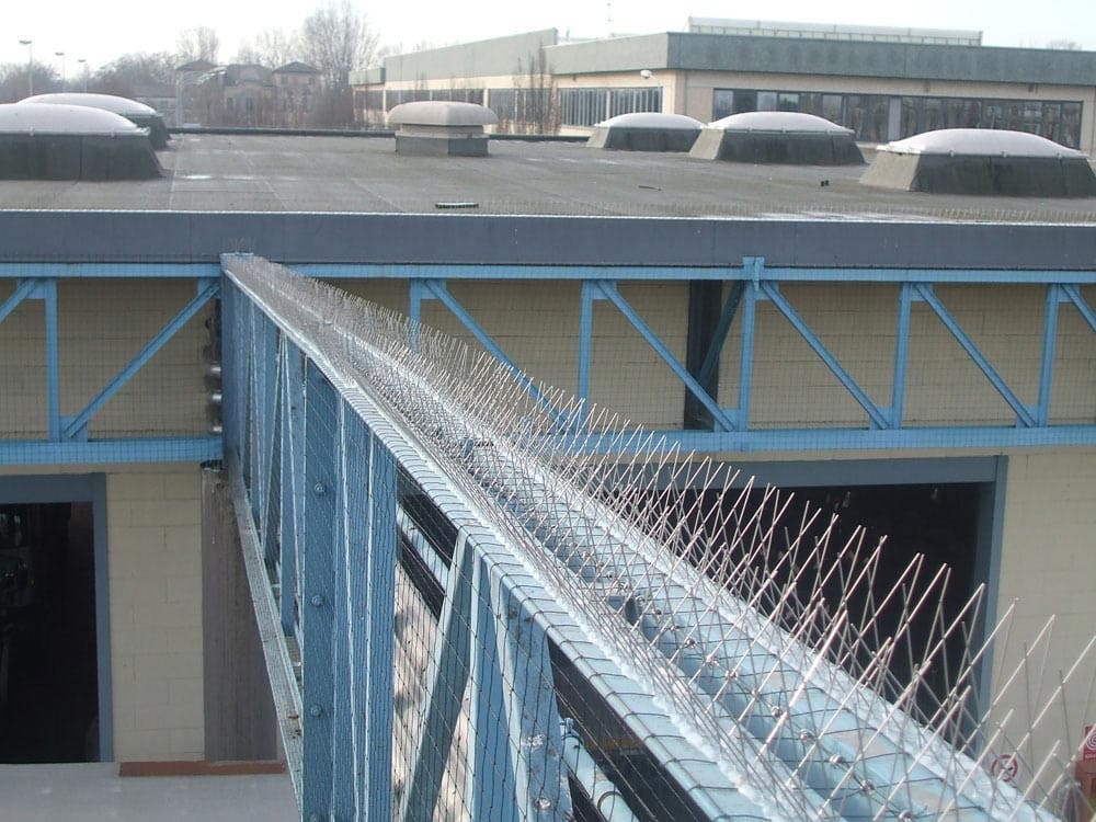 Dissuasori meccanici - Ecobirds® - Installatori Autorizzati Allontanamento Volatili