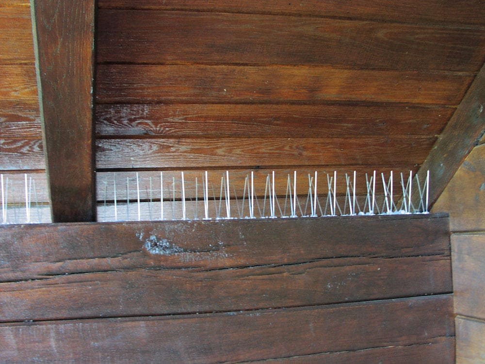 Dissuasori meccanici - Ecobirds® - Installatori Autorizzati Allontanamento Volatili