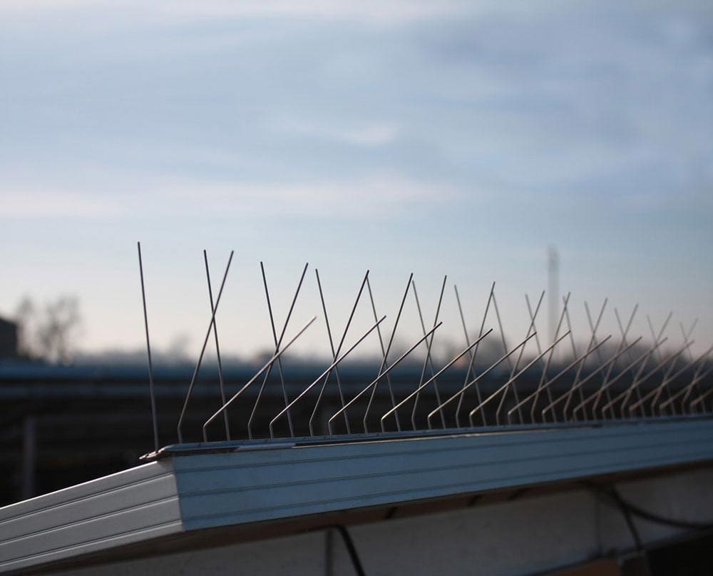 Dissuasori meccanici - Ecobirds® - Installatori Autorizzati Allontanamento Volatili