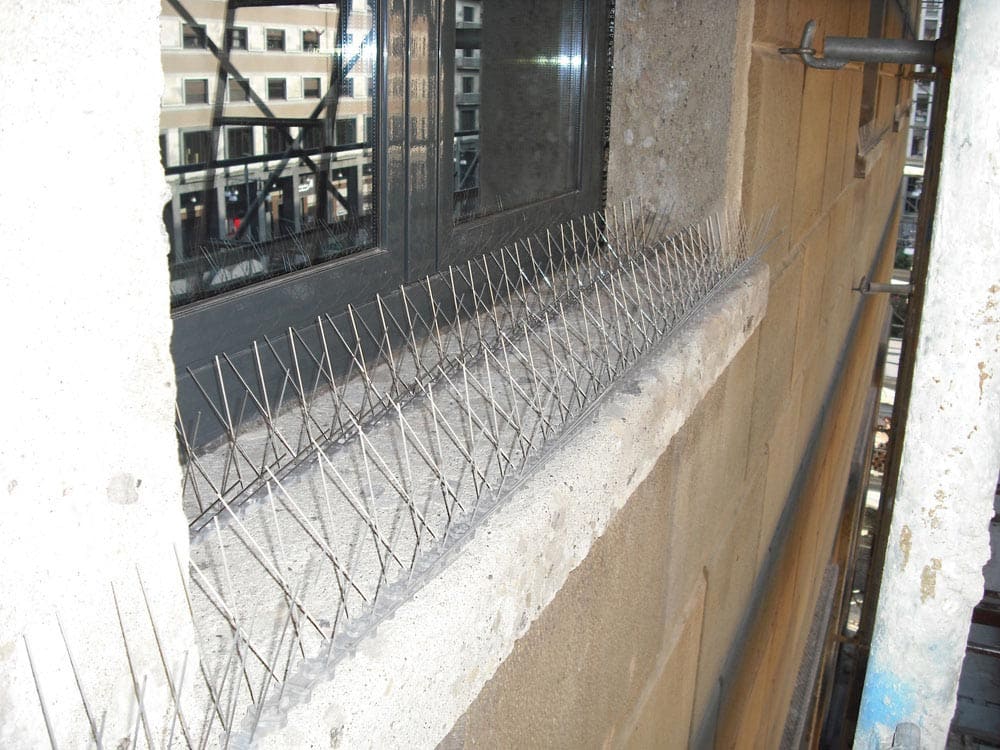 Dissuasori meccanici - Ecobirds® - Installatori Autorizzati Allontanamento Volatili