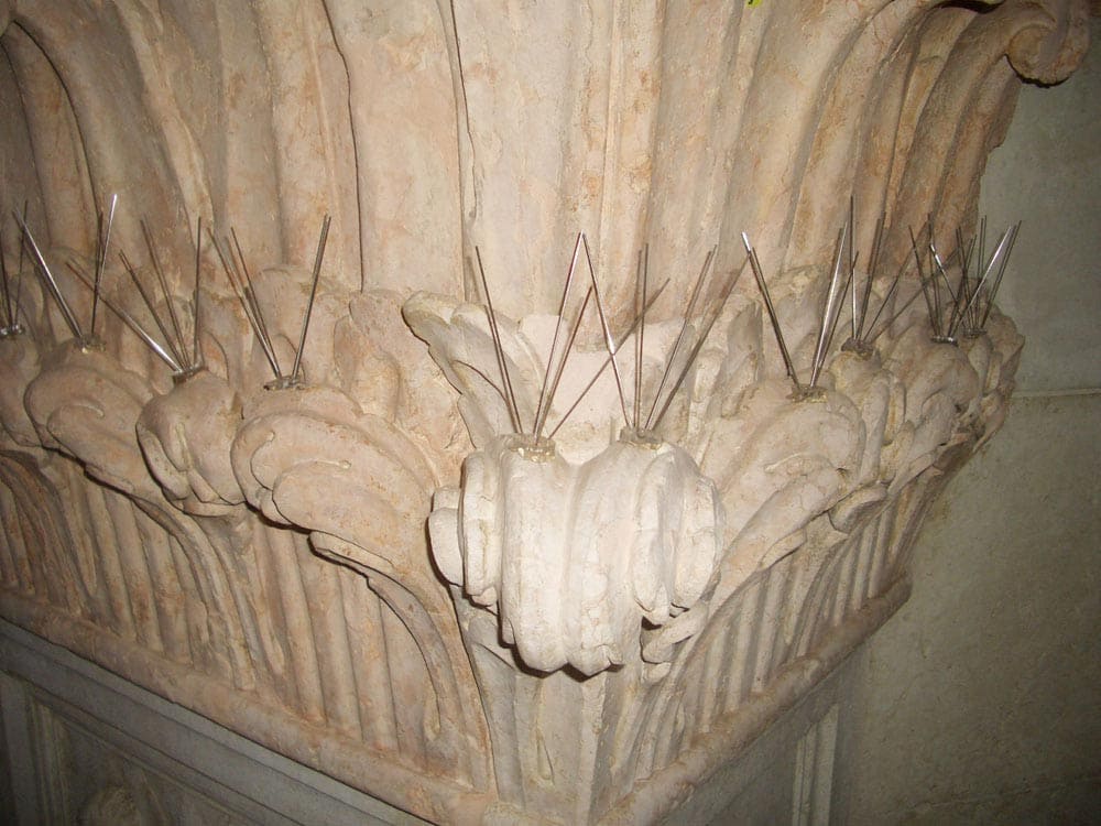 Dissuasori meccanici - Ecobirds® - Installatori Autorizzati Allontanamento Volatili