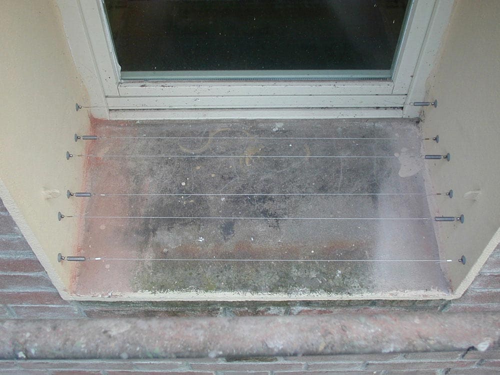 Filo ballerino - Ecobirds® - Installatori Autorizzati Allontanamento Volatili