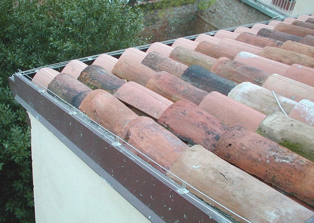 Linea elettrificata - Ecobirds® - Installatori Autorizzati Allontanamento Volatili