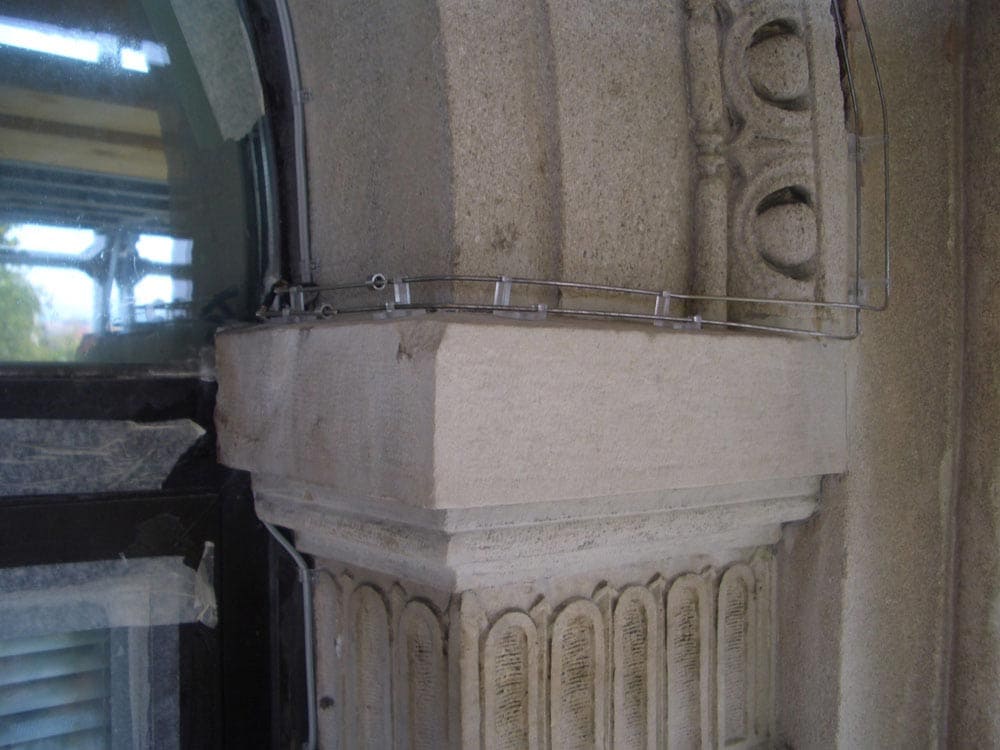 Linea elettrificata - Ecobirds® - Installatori Autorizzati Allontanamento Volatili