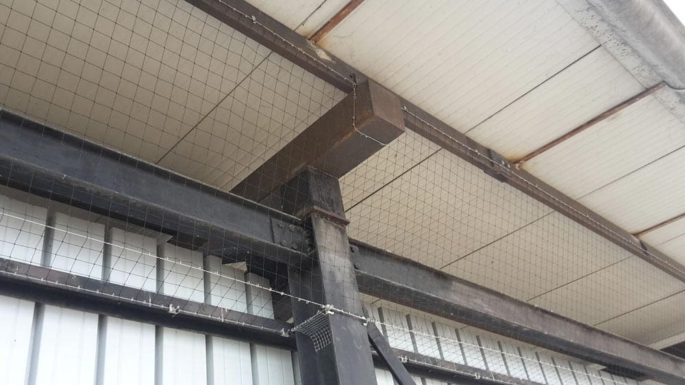 Reti antintrusione - Ecobirds® - Installatori Autorizzati Allontanamento Volatili