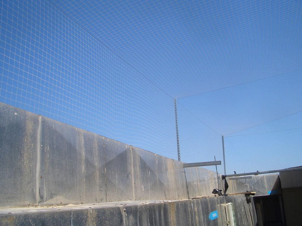 Reti antintrusione - Ecobirds® - Installatori Autorizzati Allontanamento Volatili