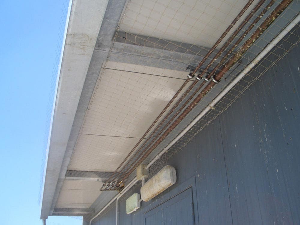 Reti antintrusione - Ecobirds® - Installatori Autorizzati Allontanamento Volatili