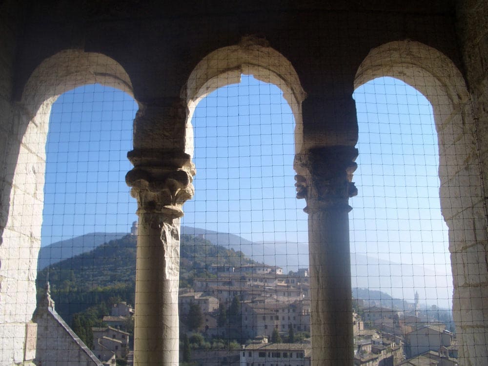 Reti antintrusione - Ecobirds® - Installatori Autorizzati Allontanamento Volatili