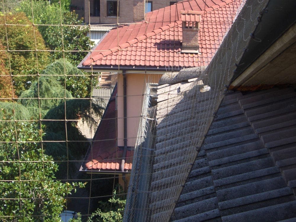 Reti antintrusione - Ecobirds® - Installatori Autorizzati Allontanamento Volatili