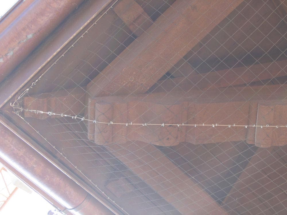 Reti antintrusione - Ecobirds® - Installatori Autorizzati Allontanamento Volatili