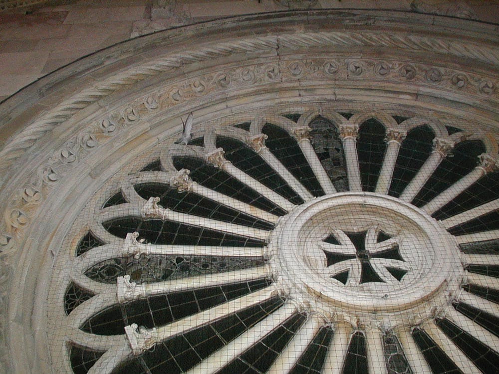 Reti antintrusione - Ecobirds® - Installatori Autorizzati Allontanamento Volatili